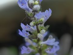 -江苏省美术馆(长江路新馆)