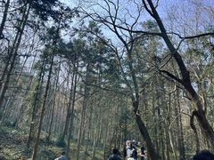 -冶父山国家森林公园