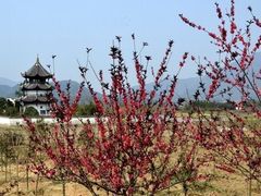 -桃花姐假日酒店·桃花潭土菜馆