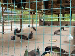 -韶关经律论国际酒店温泉