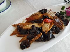 -云中小雅