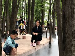 -东湖落雁景区