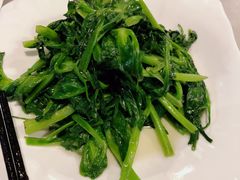 清炒豌豆尖-多味居(剪子巷店)