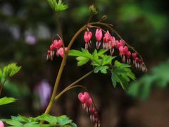 -幕燕滨江·长江观音景区