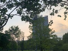 -景田北六街公园宠物主题园