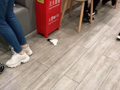 -永和大王(茉莉上新·军博店)