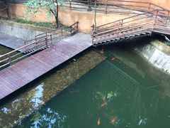 -海南槟榔谷黎苗文化旅游区
