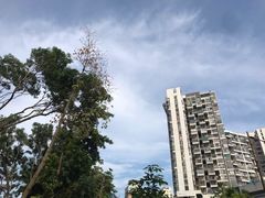 -福田农产品批发市场有限公司蔬菜交易区