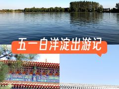 -白洋淀景区