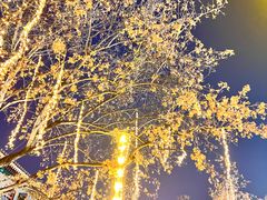 -同盛祥(曲江大唐不夜城店)