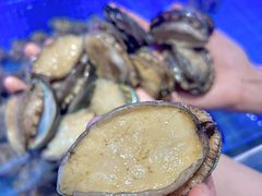 -悦海·家宴·冰花皮皮虾大锅贴(宝龙店)