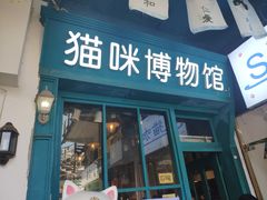 -猫咪博物馆(顶澳仔猫街店)