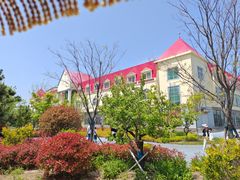 -日照海滨国家森林公园