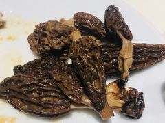 藏区羊肚菌花胶炖走地鸡汤-觅唐MITONG(鸟巢店)
