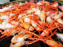 -阿斯牛牛·凉山菜(新会展店)
