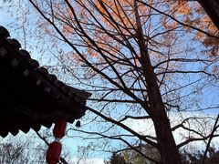 -元大都城垣遗址公园