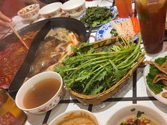 -朱光玉火锅馆(正弘城店)