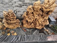 -常赢三兄弟·清真涮肉·清真炒菜(朝阳新城店)