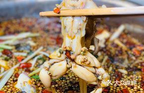 Live Frog Stir-Fry