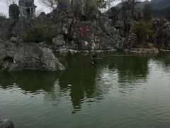-千岛湖石林