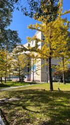 -凡碧诗毛孔清洁收细