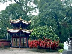 -峨眉山报国寺