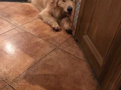 -火车头法国西餐厅