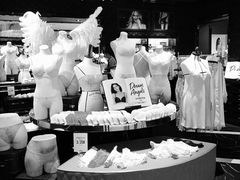 -Victoria's Secret(苏州中心全品类店)