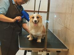 -艾贝尔宠物医院·24H转诊中心·肿瘤猫专科(江宁双龙店)