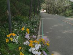 -棋盘山风景区