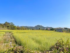 -光明小镇欢乐田园