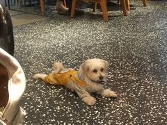 -Moka Bros 摩卡站(嘉华店)