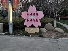 -高东镇樱花园
