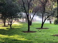 -堤角公园