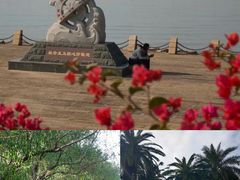 -宝安西湾红树林湿地公园