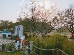 -空港花田景区