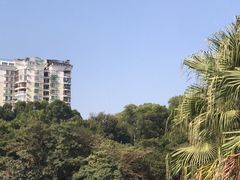 -深圳国际园林花卉博览园