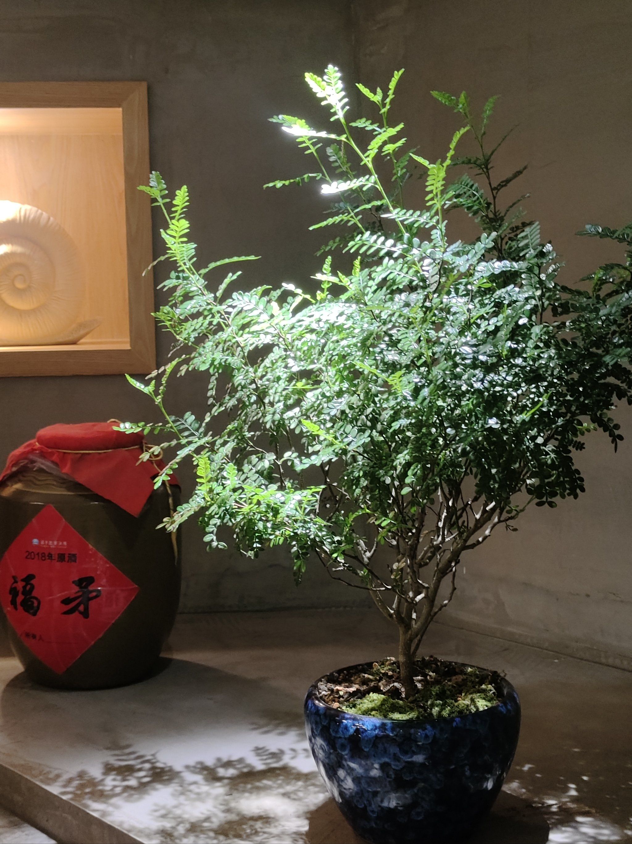 这家店秋季上新啦!