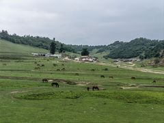 -关山草原