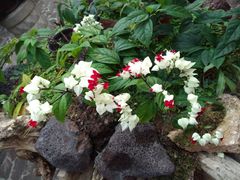 -南通洲际绿博园