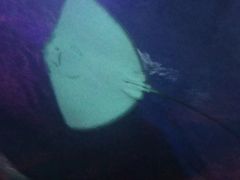 -沈阳海洋探索中心