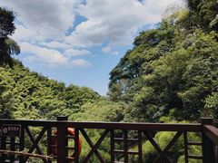-莫干山风景区