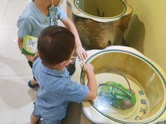 -上海昆虫博物馆