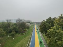 -南京眼步行桥