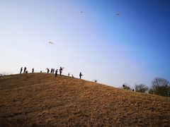 -白鹭湾湿地公园