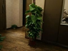 -中之润养生(都市路店)