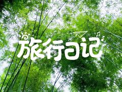 -川西竹海景区