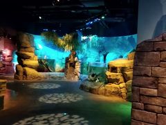 -沈阳海洋探索中心