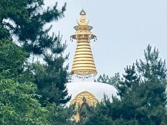 -护国法轮寺