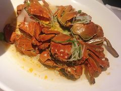 -蟹榭(静安寺晶品商场店)